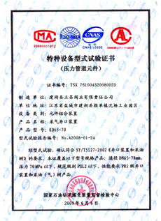 特种设备型式试验证书